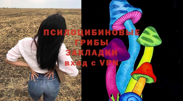ПСИЛОЦИБИНОВЫЕ ГРИБЫ Алексеевка