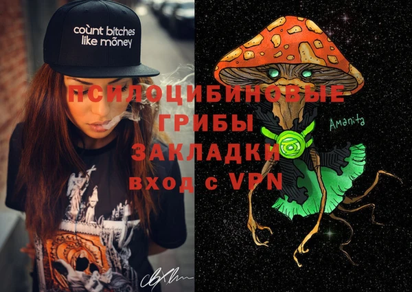 ПСИЛОЦИБИНОВЫЕ ГРИБЫ Алексеевка