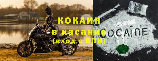 ПСИЛОЦИБИНОВЫЕ ГРИБЫ Алексеевка