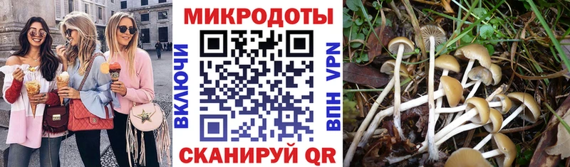 Псилоцибиновые грибы GOLDEN TEACHER  Дедовск 