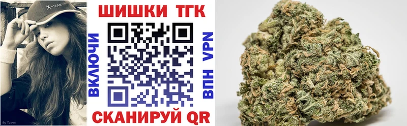 Канабис сатива  Дедовск 